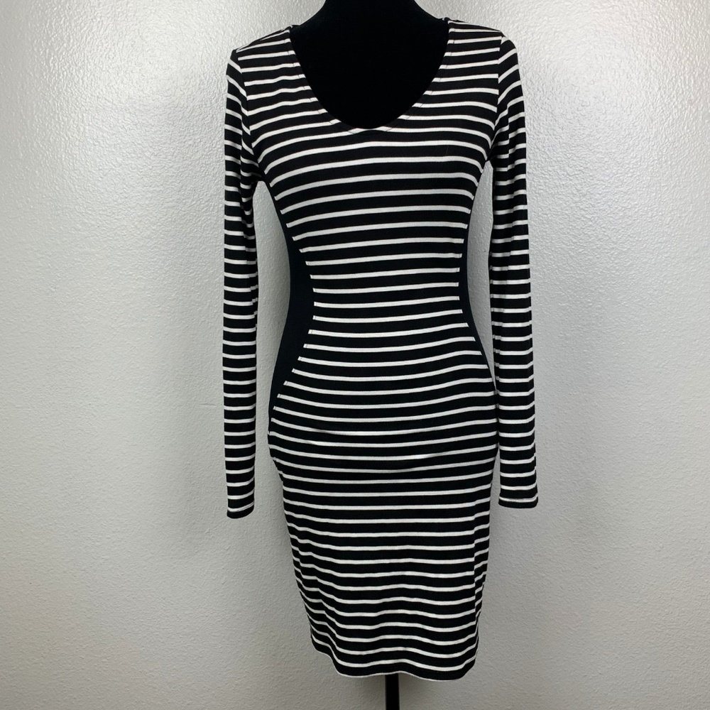 Velvet by Graham and Spencer Bodycon Dress
